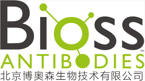 66010a19cbd84.png 66010a19cbd84.png